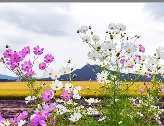 През нощта ще е предимно ясно и почти тихо Утре