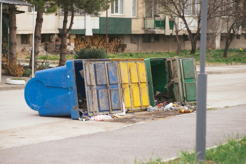 Неизвестни засега лица са извършили през изминалата нощ поредица от