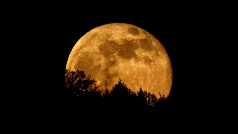 Тази нощ имахме възможността да наблюдаваме явлението суперлуна То се