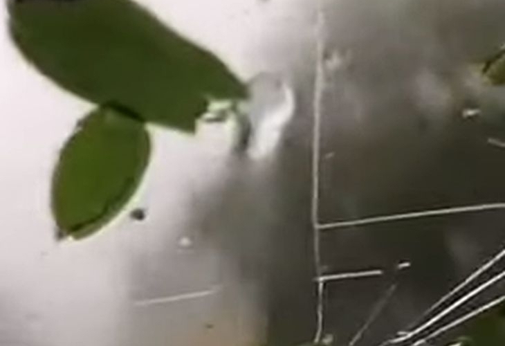 Хърватското адриатическо крайбрежие вчера бе връхлетяно от буря като само