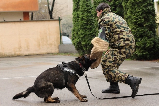 Видински полицаи показаха пред гимназисти как се открива забранено вещество