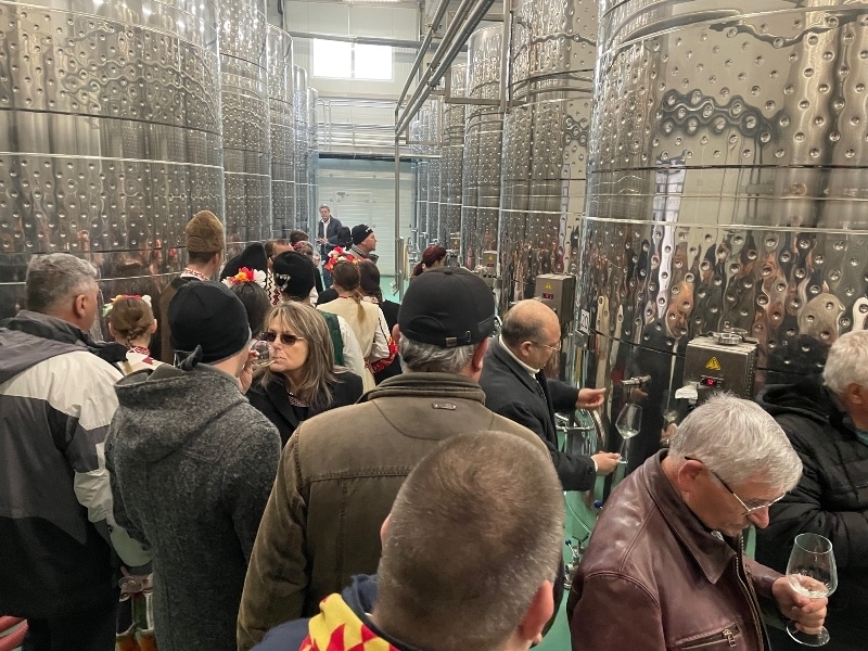 Наздраве! Царят на виното Тони Йорданов заряза лозата в бижуто край ...