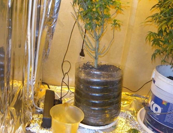 Криминалисти от Сливен са разкрили нарколаборатория съобщиха от ОД на