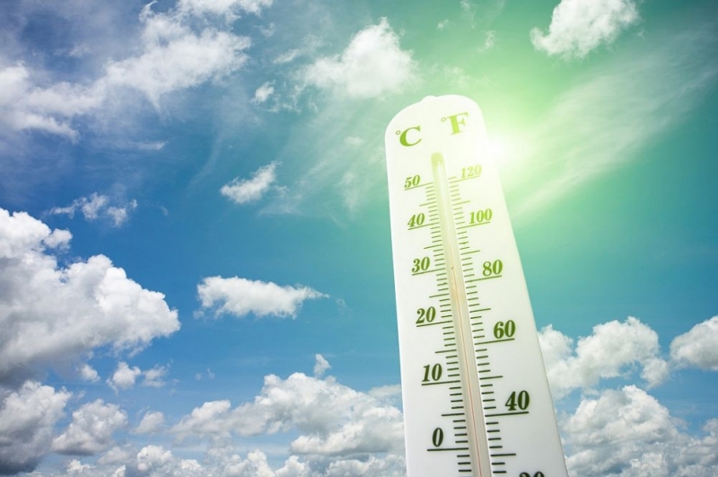 Горещата вълна която обхвана източната канадска провинция Квебек в началото