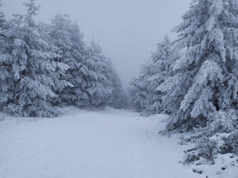 Продължава навлизането на по-студена въздушна маса от северозапад към нашата