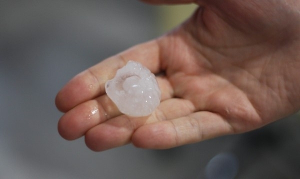 Създаване на държавно предприятие което да управлява риска от неблагоприятни