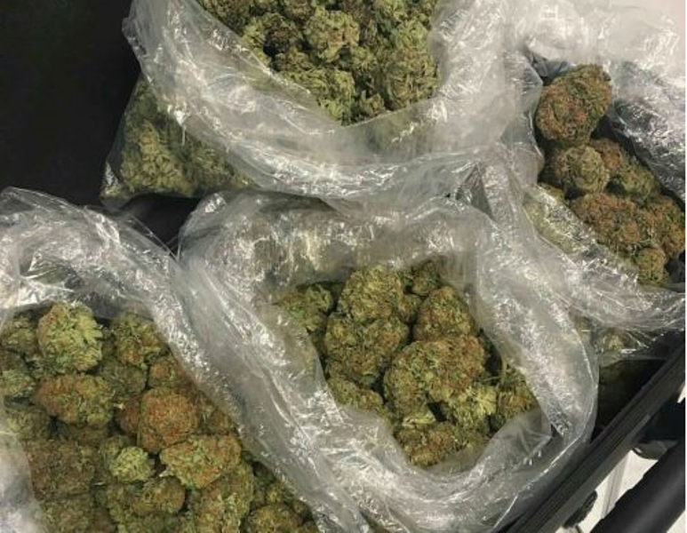 Полицаи намериха близо 5 кг наркотици в имот в Монтанско