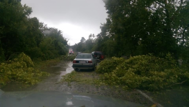 В ранния следобед днес бурен вятър придружен от пороен дъжд