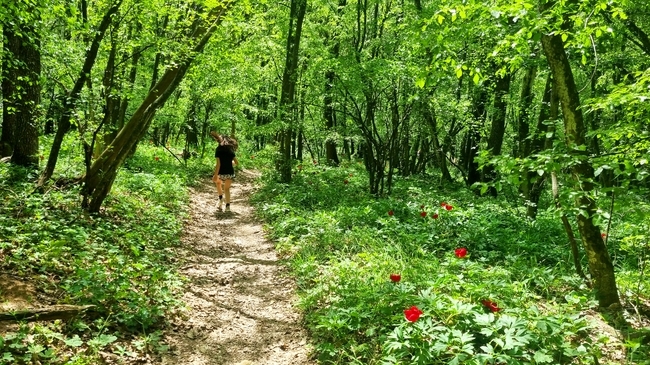 Времето в сряда остава горещо и слънчево