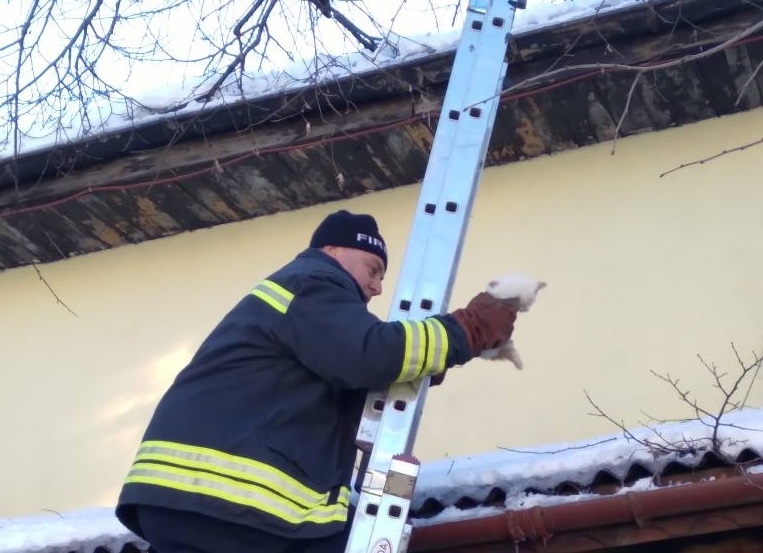 В последния ден на годината 31 декември малко преди хората