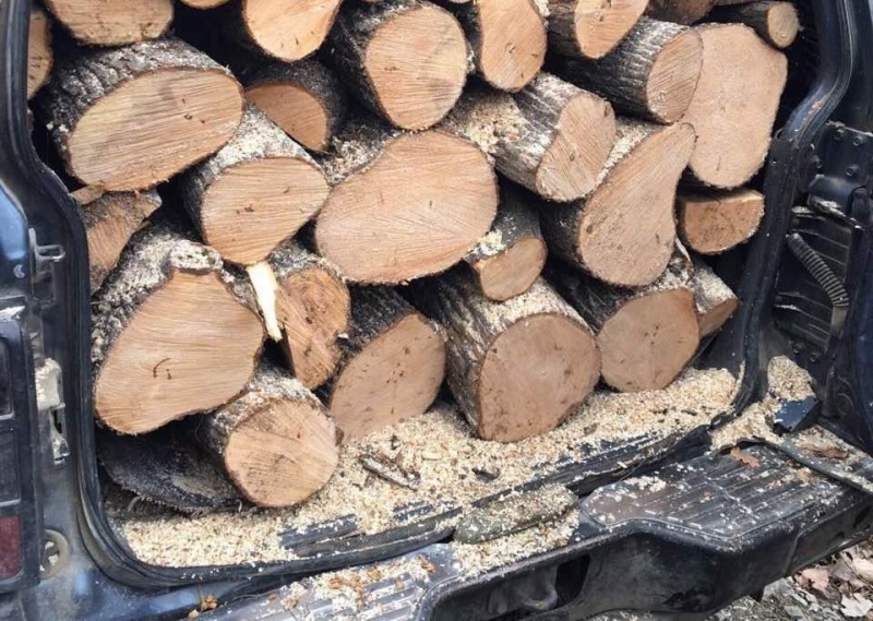 Полицаи хванаха шофьор без книжка да пренася нелегално дърва в