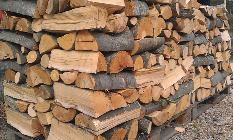 Извършено е разпределение на количествата дърва за огрев и за