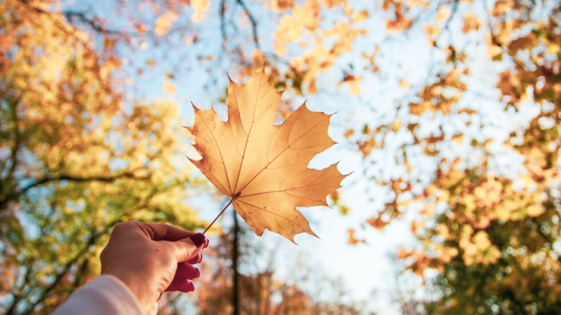 Днес градусите ще паднат леко но остава слънчево време с