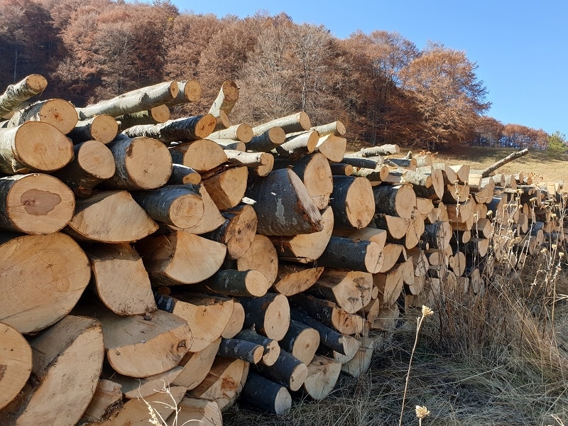 Среща на дърводобивните фирми в Северозападно държавно предприятие Враца