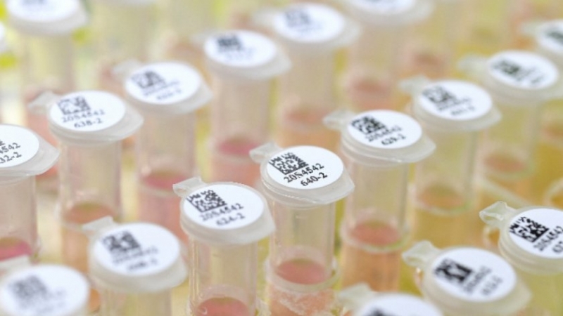 Германия затвори училища и детски градини а 7 000 души