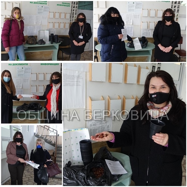 Образователни комплекти за отглеждане на собствено дърво получиха децата и