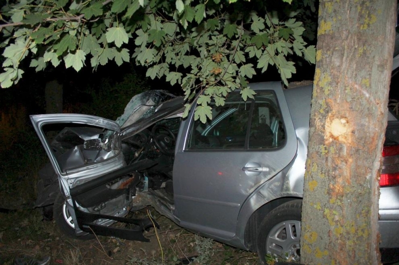 Жена пострада при катастрофа в дърво на Е-79 между Видин