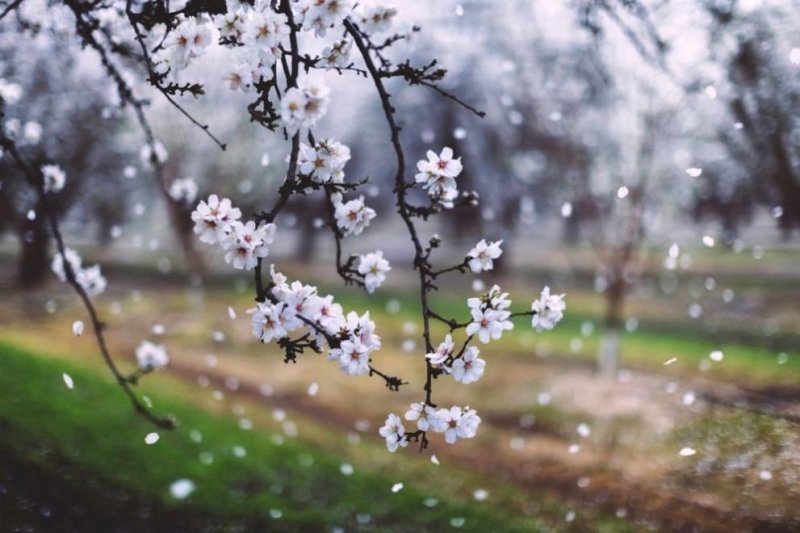 Времето днес: Слънчево, но ветровито