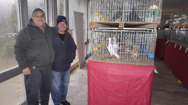 При голям интерес премина осмото издание на изложбата на декоративни