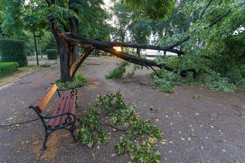Мощна гръмотевична буря удари Видин снощи Над града се изля