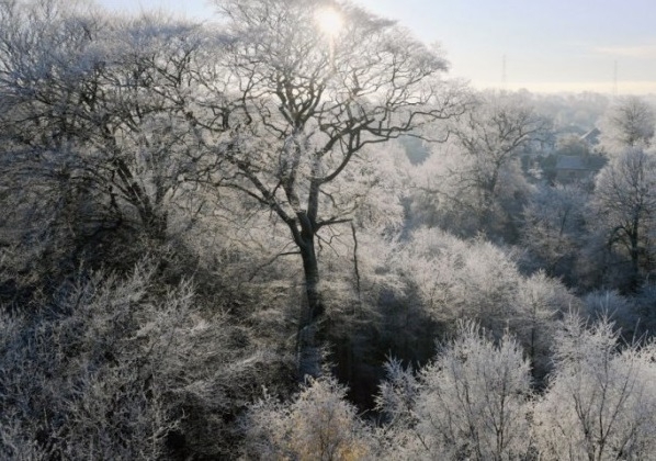 Днес облачността ще е разкъсана Ще духа слаб в източните