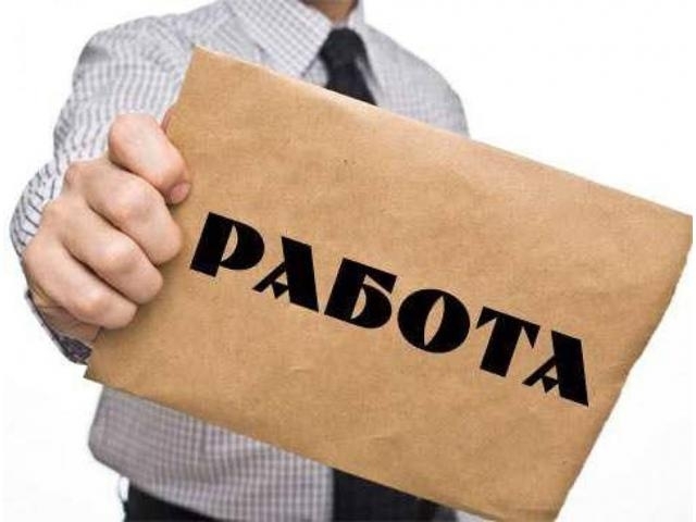 Нов проект на Агенцията по заетостта осигурява работа на 70 000 души