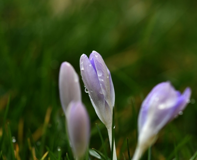 Днес до обед валежите в западните райони ще спрат а