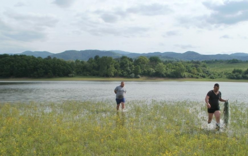 Кметът на община Монтана издаде заповед с която се определят