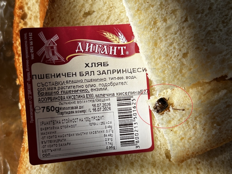 Гнусотия! Хлебарка изскочи от хляб на компроментираната врачанска фирма „Дигант“ /снимки/