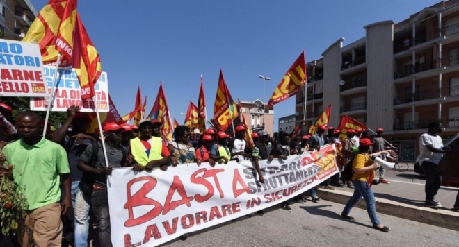 Стотици селскостопански работници предимно африканци които събират реколтата от домати в