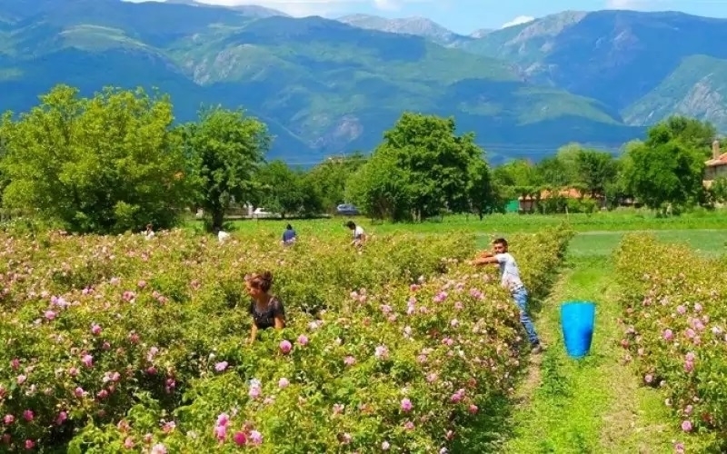 Работодателските организации се възпротивиха на намеренията на финансовия министър Асен