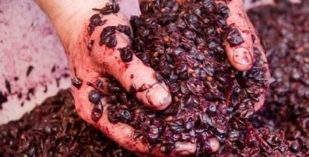 Двама души са загинали а един е в тежко състояние