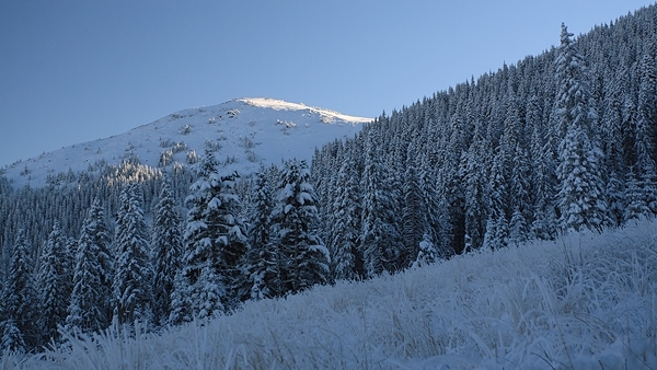 Увеличена е опасността от лавини в Берковския Балкан каза ръководителят