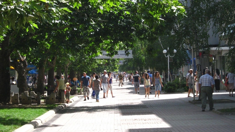 От днес ще стартират дейностите по третиране на дървесните видове