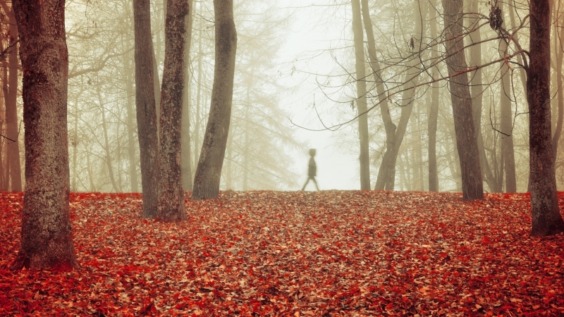 Днес ще духа слаб в източните райони до умерен вятър
