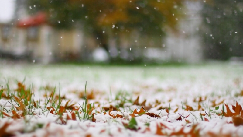 Динамично и променливо време ще очертае почивните дни на последната