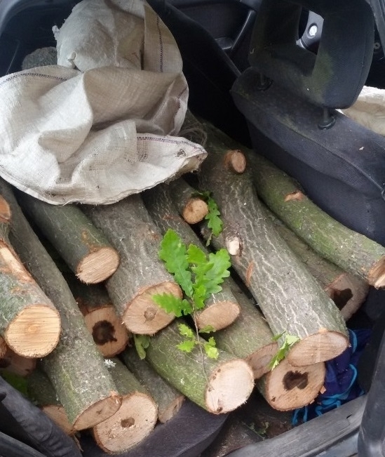 Полицията е хванала бракониер на дърва в Бяла Слатина съобщиха