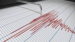 Земетресение с магнитуд 4 4 по Рихтер е регистрирано днес през нощта в източната