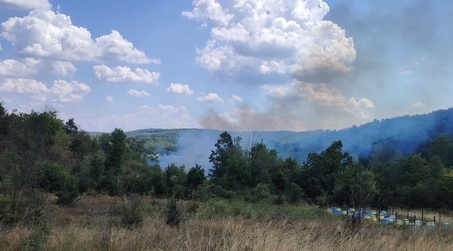 Извънредно! Голям пожар избухна до пътя Враца-Вършец, вдигна огнеборците накрак /снимка/