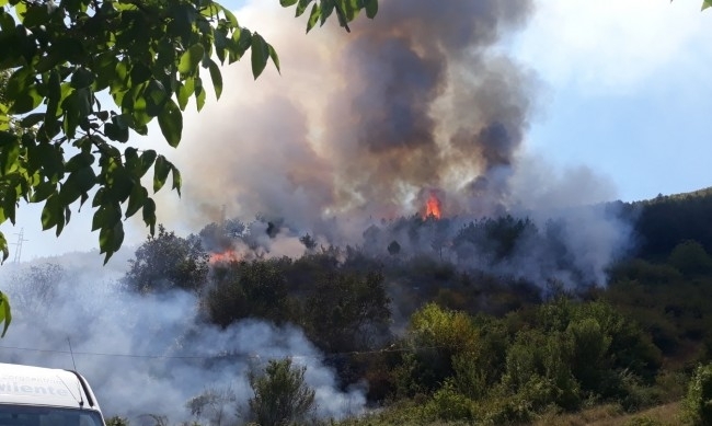 Голям горски пожар бушува край Девин, информират от Областната администрация.