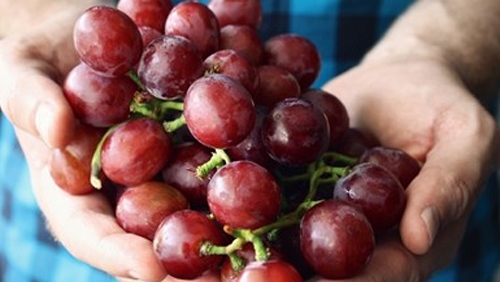 Британските фермери и производители ще трябва да се справят с