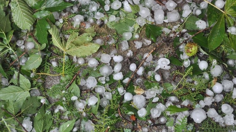 Градушка се изсипа над Монтана преди минути научи агенция BulNews