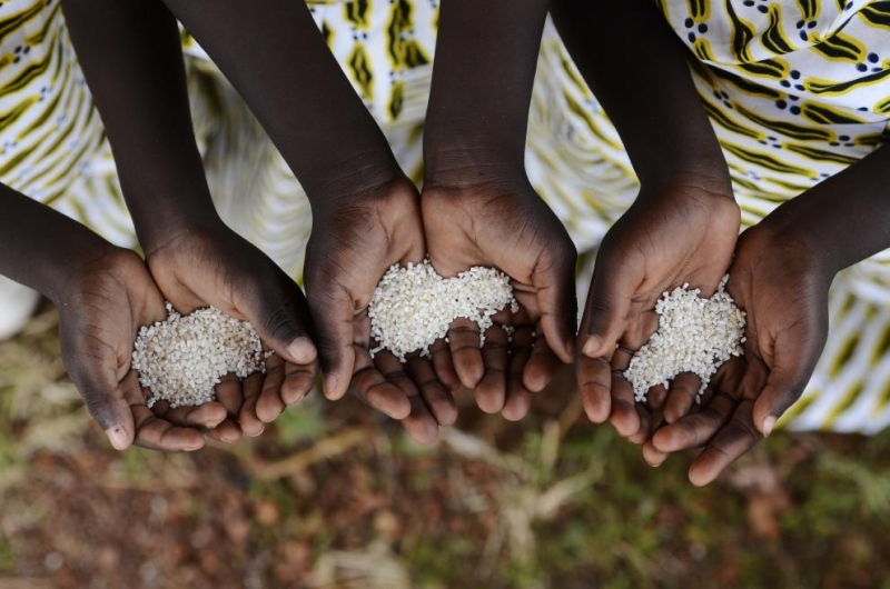 Повече от милиард жени и момичета в света страдат от недохранване, пише УНИЦЕФ.