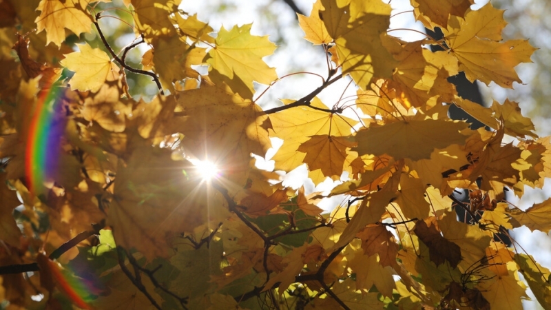 Днес ни очаква пореден слънчев ден с температури между 21