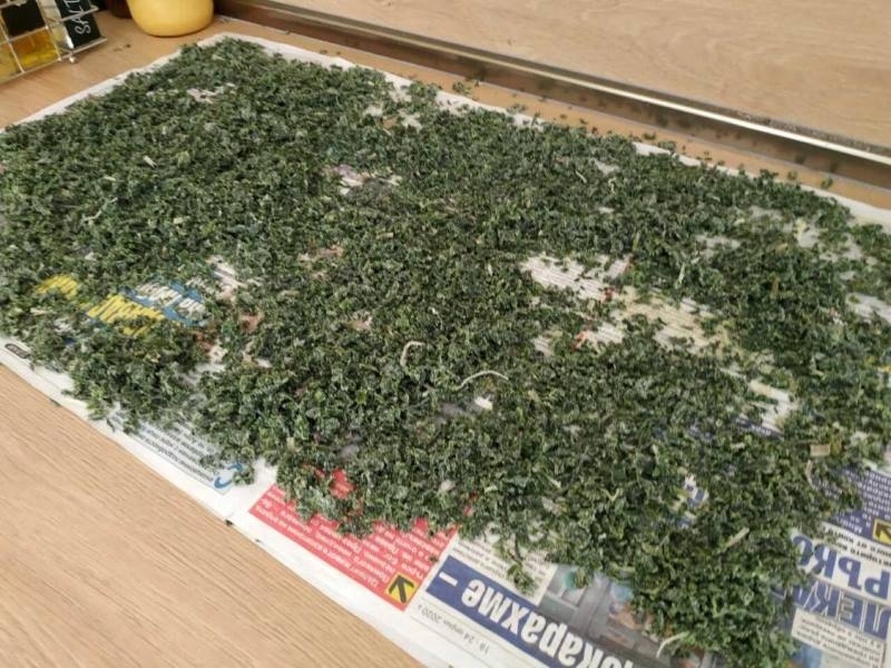 Иззеха 43 кг марихуана от дома на 60-годишен във Варна