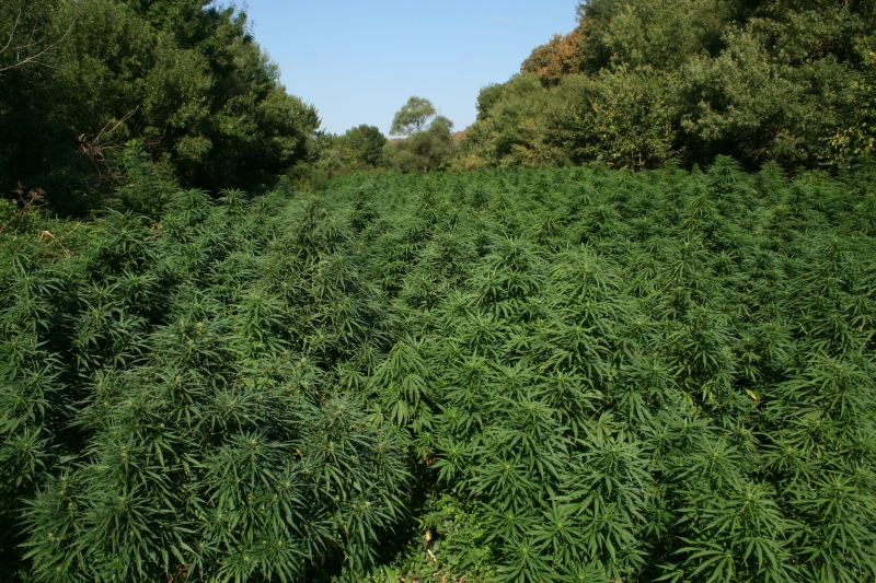 Двама братя от Бургас Стамен А и Димо А са с