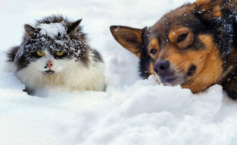 Днес от югозапад валежите временно ще отслабват и в много