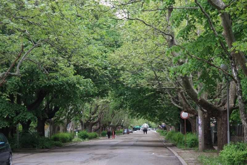 Общинският съвет във Вършец прие изменение и допълнение на наредба