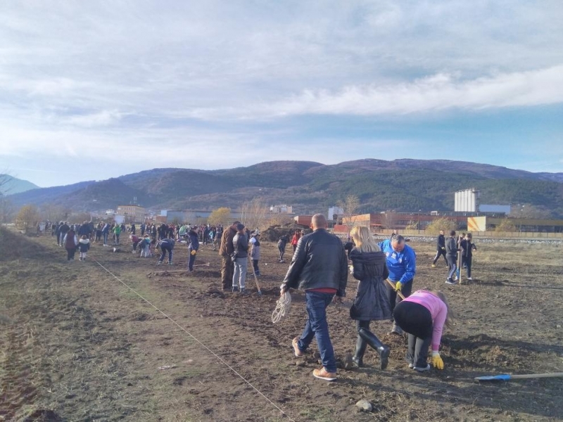 Нова зелена зона създадоха днес десетки асеновградчани Те използваха чудесното