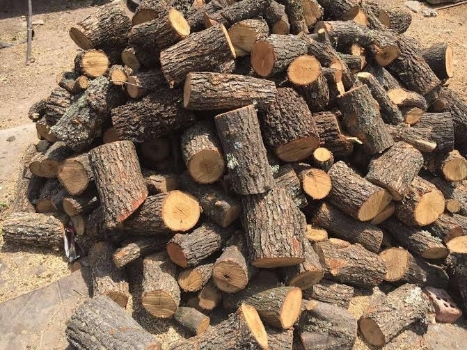 Полицаи са намерили незаконни дърва в къща в Мездра съобщиха